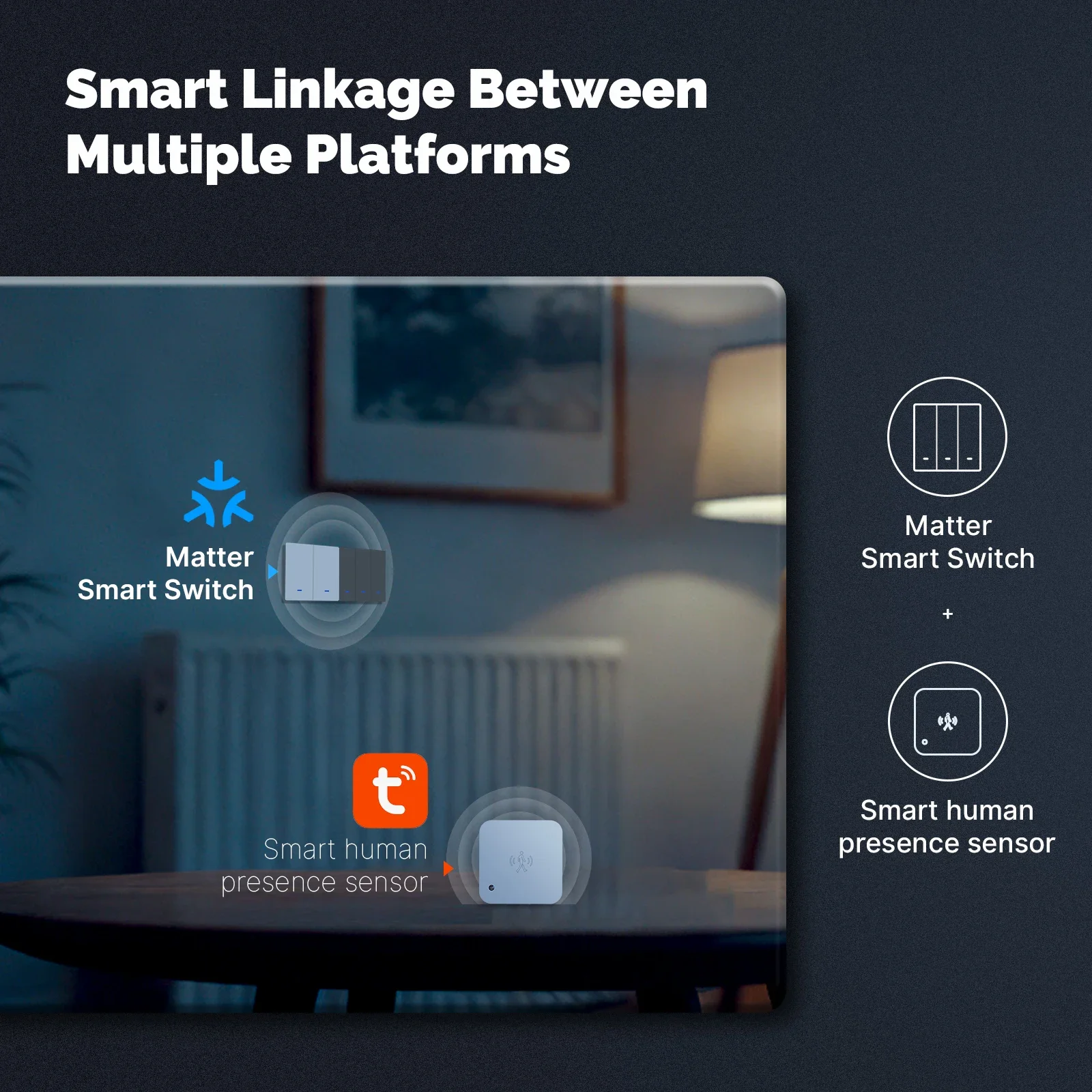 MOES Matter Tuya WiFi Smart Li - огляд і ціна Smart Accessories